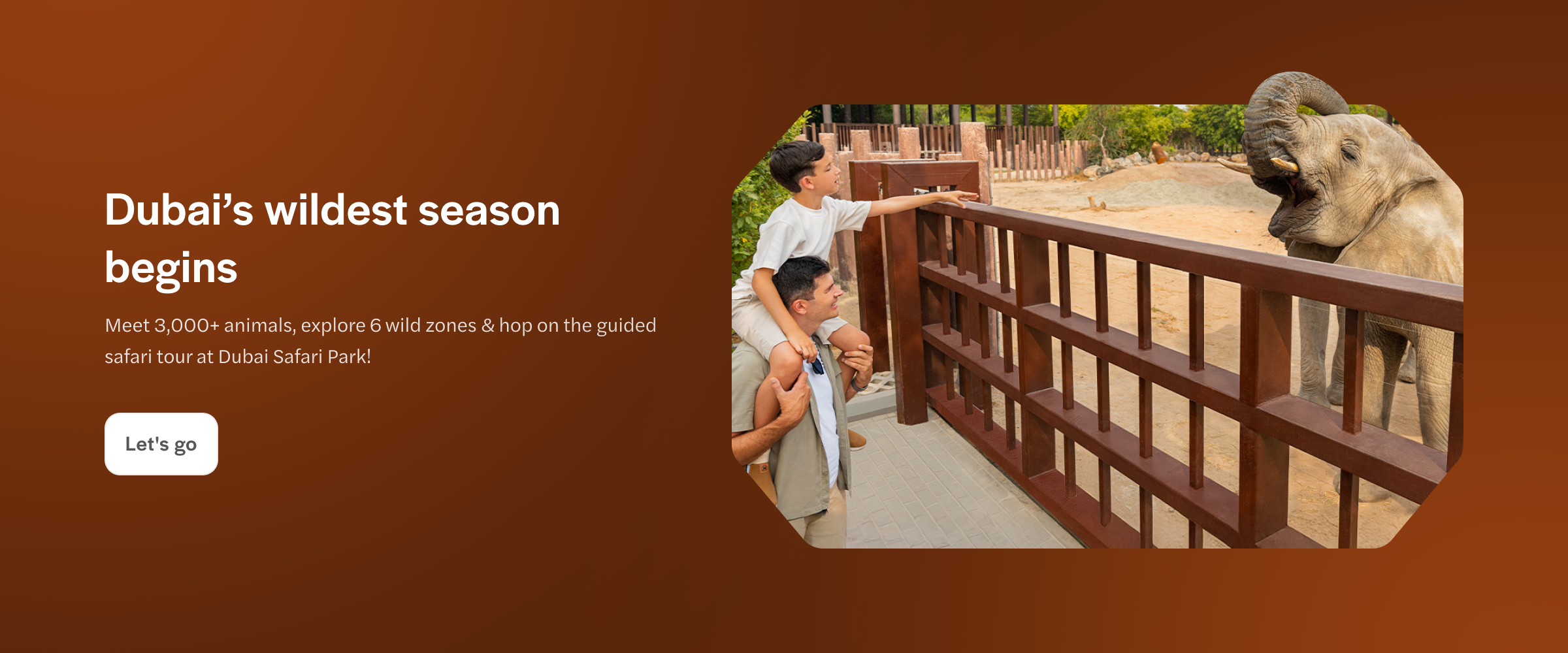 Father and son observe an elephant at Dubai Safari Park.
